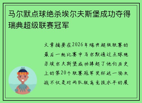 马尔默点球绝杀埃尔夫斯堡成功夺得瑞典超级联赛冠军